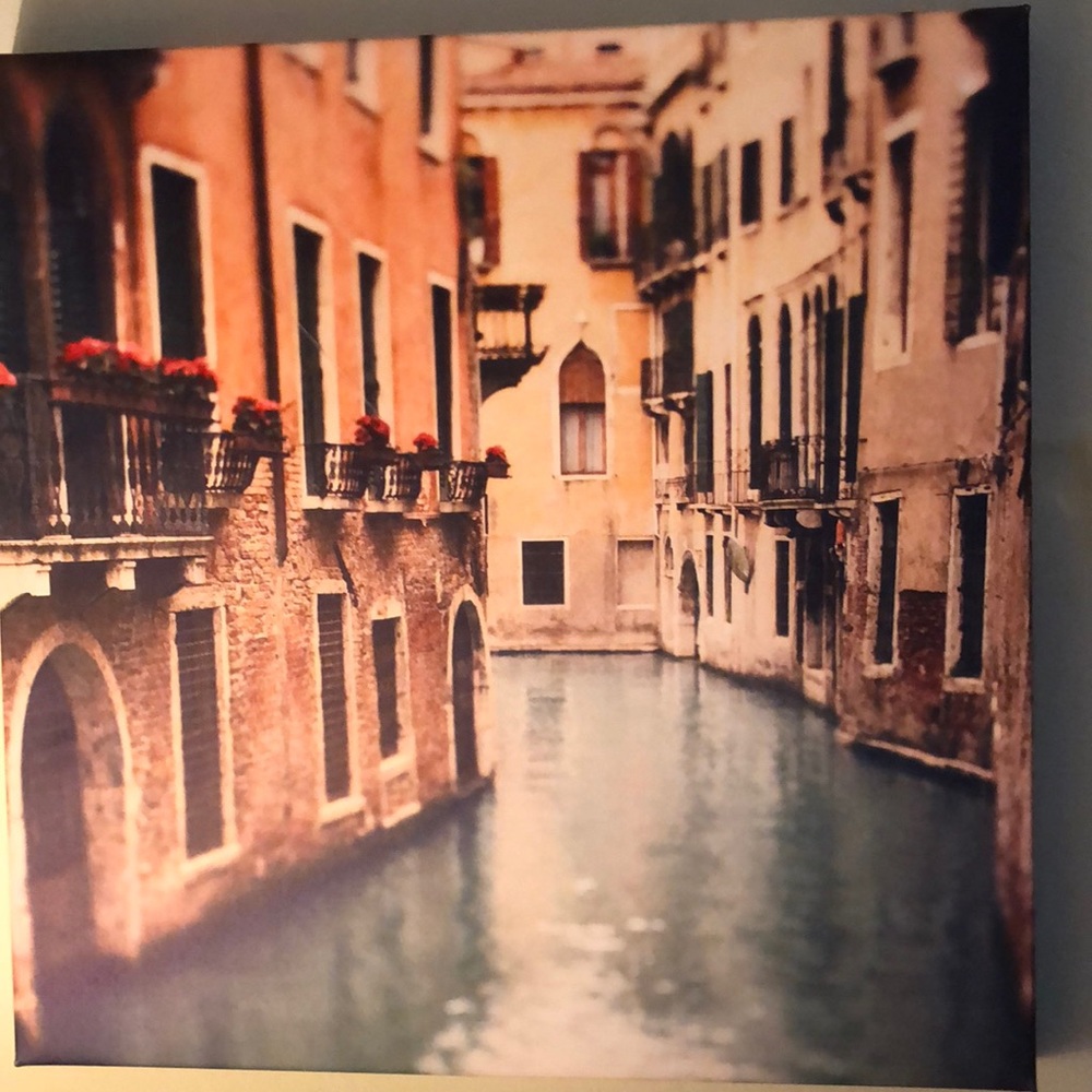 Portrait of Venice